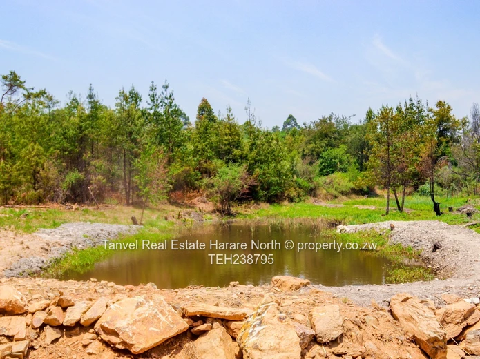 NYANGA STANDS AVAILABLE! Nestled in a beautiful, secluded, valley in Nyanga . Located near London St