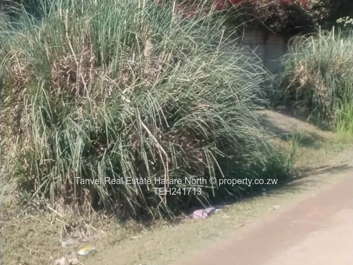 Hatfield HOUSE FOR SALE 150k.  Situated on 2300sqm, 5 bedrooms (main en-suite)  2 bathrooms + 2 sepa