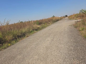 Land