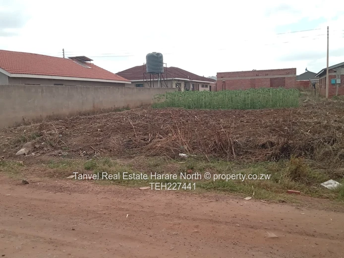 Cold comfort stand reviewed  to *usd32k*  Being 375sqm  stand in Cold Comfort after Bradley school ,