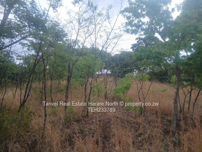 Glenlorne  stand.Mother Care area. 2450m2.$130k .Fully serviced and ready to build and ready for tit