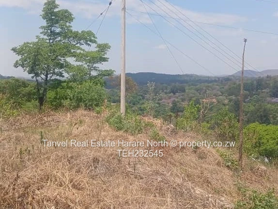 Carrick Creagh stand.180k.3000sqm.Own deed