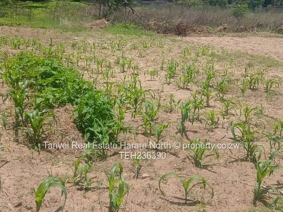 Waterfalls Subdivision. 70k.2000sqm.Fully serviced and ready for title, Near Lord Marlvern