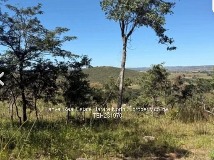 Also new on the Market is a great investment opportunity in Acturus , a piece of Land measuring +/-7