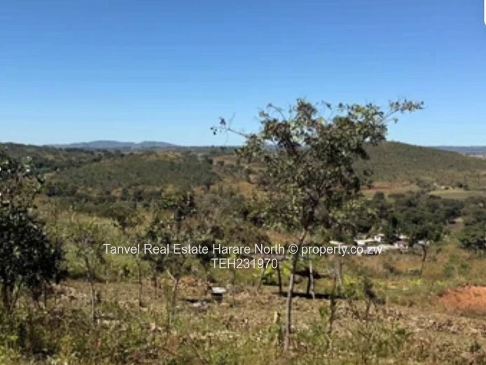 Also new on the Market is a great investment opportunity in Acturus , a piece of Land measuring +/-7