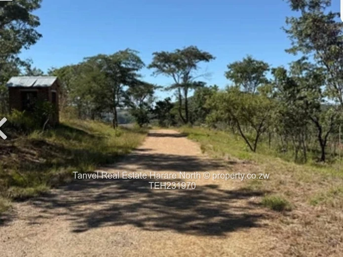 Also new on the Market is a great investment opportunity in Acturus , a piece of Land measuring +/-7