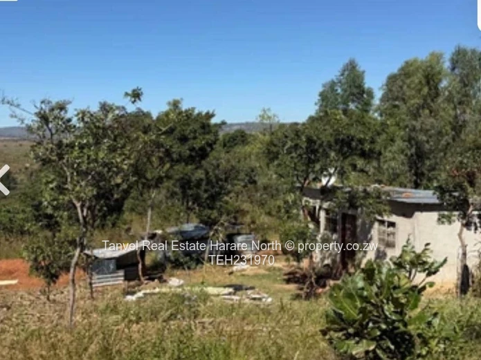 Also new on the Market is a great investment opportunity in Acturus , a piece of Land measuring +/-7