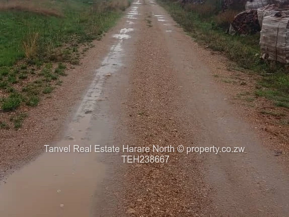 Rainham plot. 100k .2hacters.Fully serviced Just  1 km from main tarred road,Zesa across the road..Z