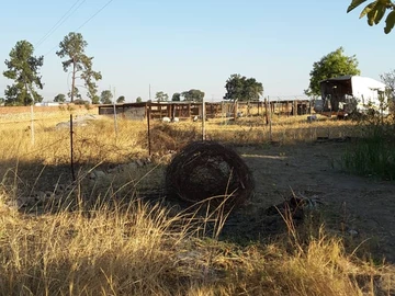 Farm & Agricultural Land