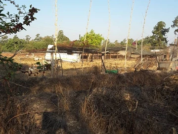 Farm & Agricultural Land