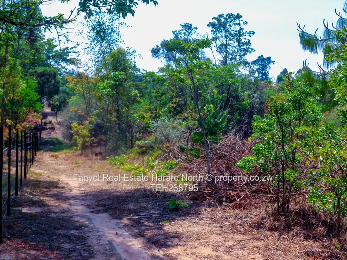 NYANGA STANDS AVAILABLE! Nestled in a beautiful, secluded, valley in Nyanga . Located near London St