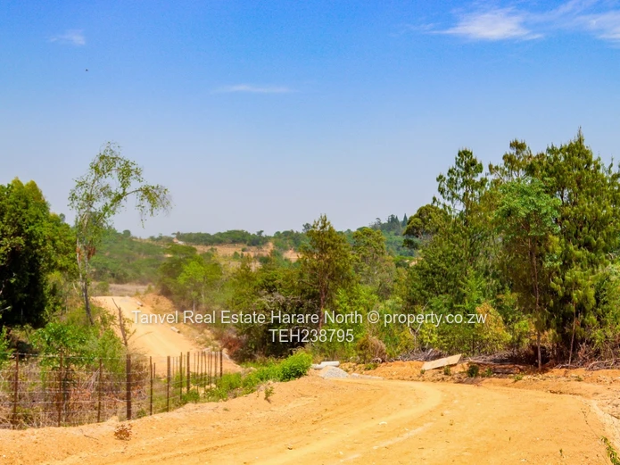 NYANGA STANDS AVAILABLE! Nestled in a beautiful, secluded, valley in Nyanga . Located near London St