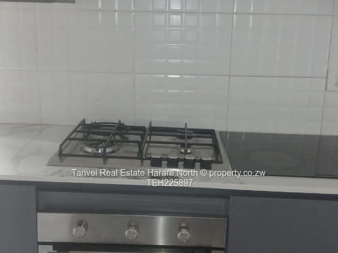 Massive and recently renovated Mansion in Old Mount Pleasant with 5 beds, Very modern kitchen,lounge