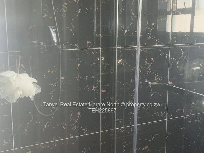 Massive and recently renovated Mansion in Old Mount Pleasant with 5 beds, Very modern kitchen,lounge