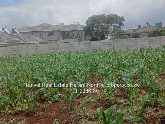 Mt Pleasant Heights, Equity Developer .2268sqm  , $125k.Fully serviced and ready for title