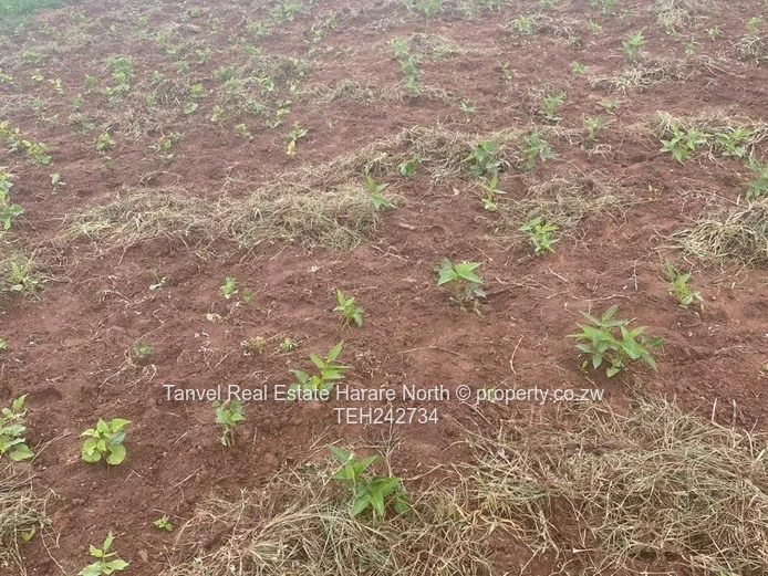 Chegutu Drummond  Farm for Sale!   Ideal for Weddings, Water Resorts, Lodges, Farming and More  