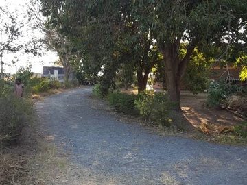 Farm & Agricultural Land