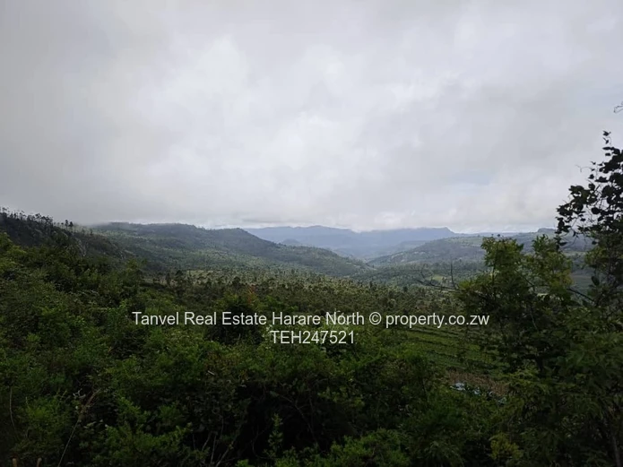 *NYANGA 5 HECTARES PLOT FOR SALE.*  10 mins drive from PACKSHADE INN 